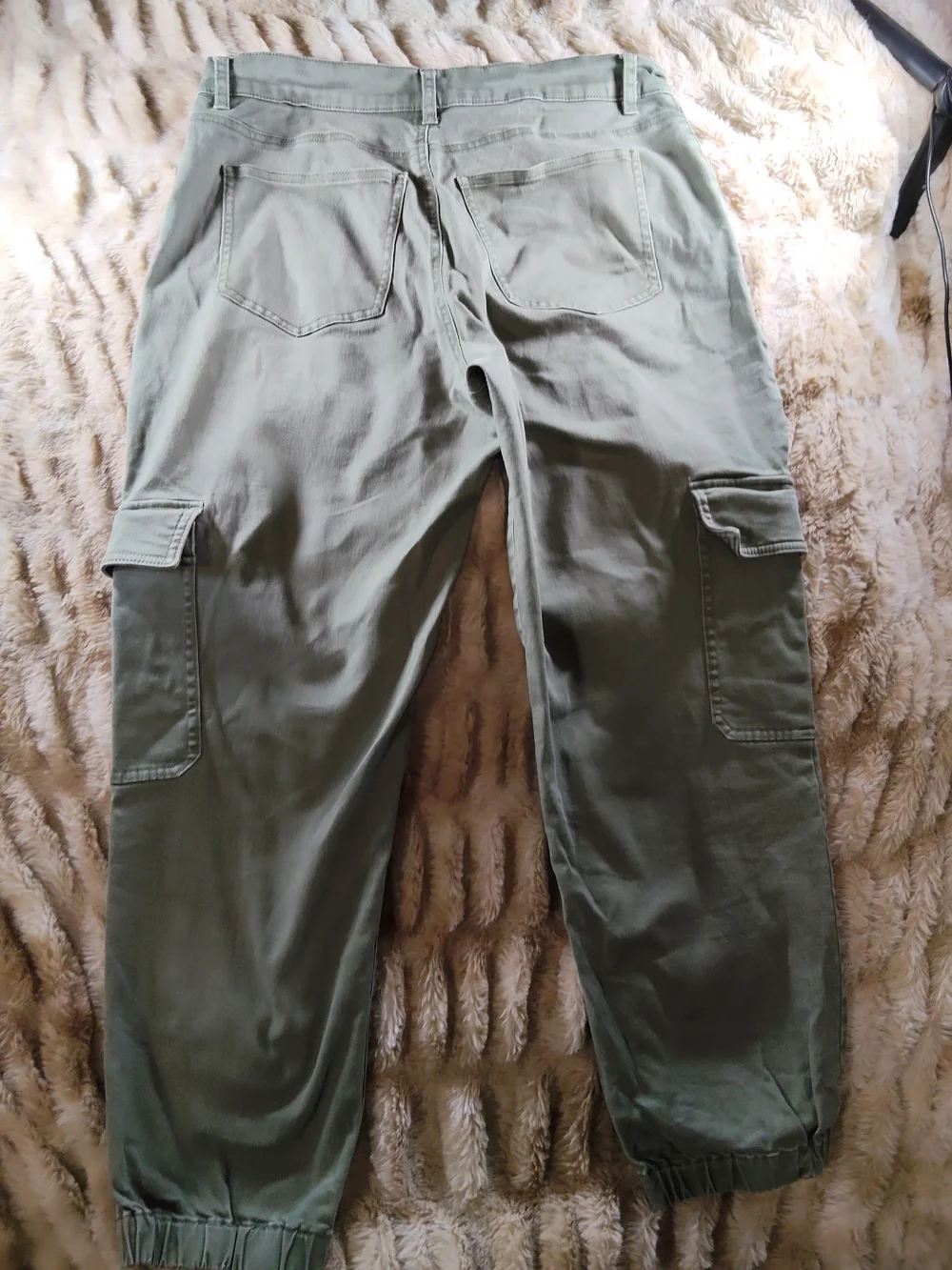 Express Olive Green Cargo Pants with Elastic Ankles - Picture 11 of 12